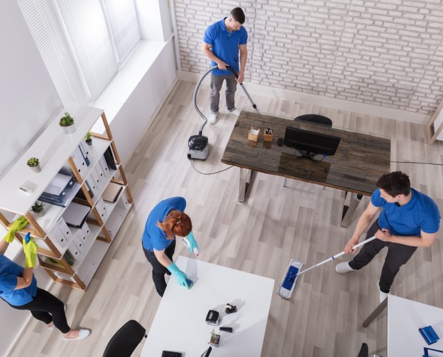 people cleaning a house